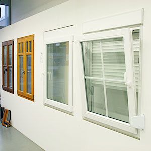 Fenster / Dachfenster